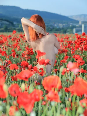 19-Etheriko_Violla-A_0044